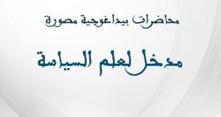 مدخل لعلم السياسة